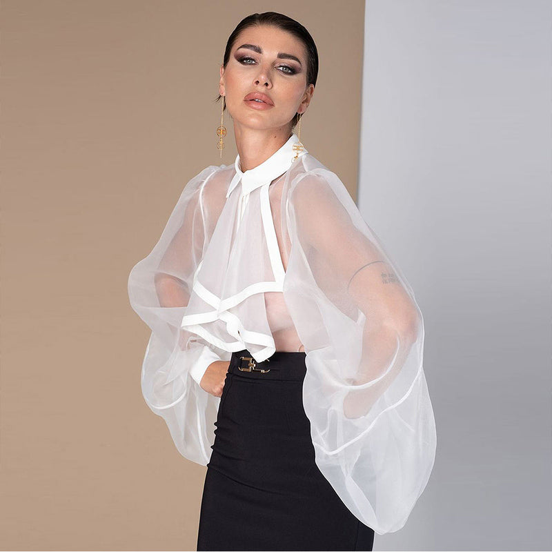 Long Puff Sleeve Sexy See Through Blouse Bodysuit