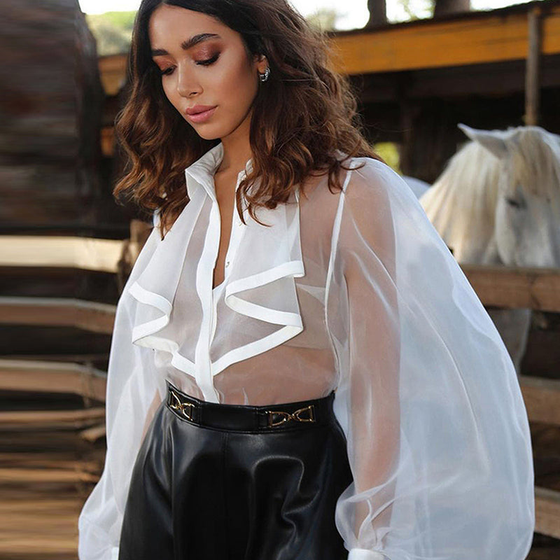 Long Puff Sleeve Sexy See Through Blouse Bodysuit